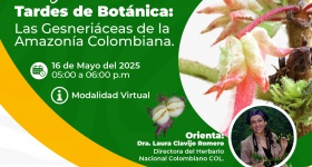 2° Webinar Tardes de Botánica: Las Gesneriáceas de la Amazonía Colombiana